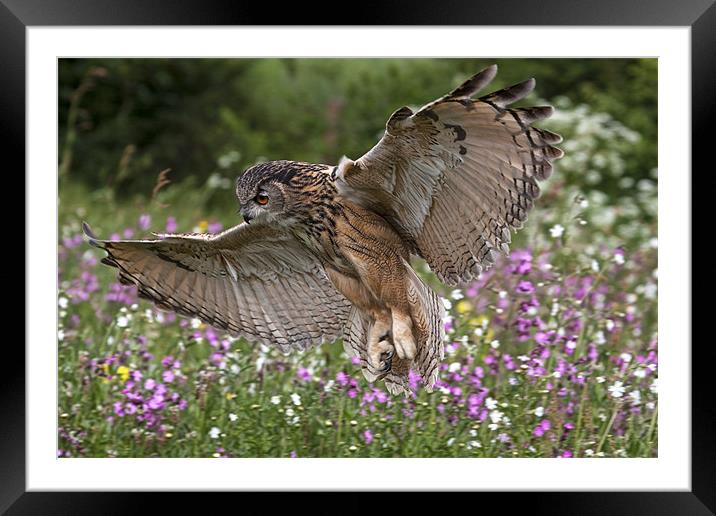 Landing Approach Framed Mounted Print by Val Saxby LRPS