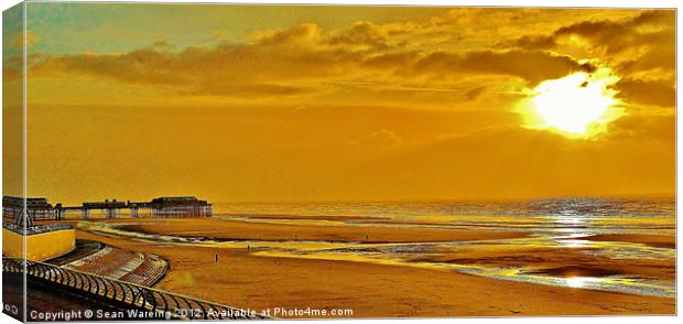 The English seaside Canvas Print by Sean Wareing