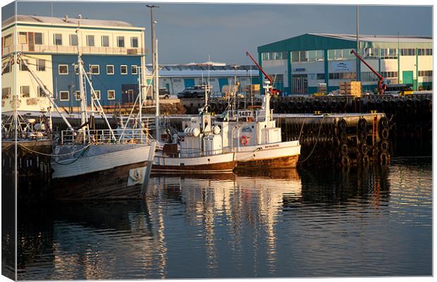 Reykjavik small harbour Canvas Print by Gail Johnson