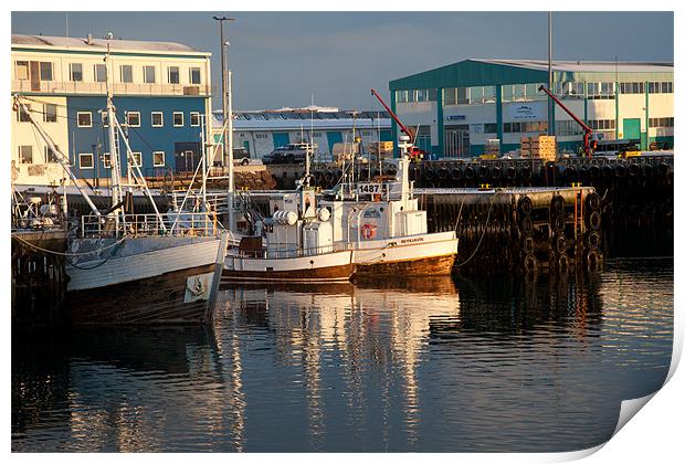 Reykjavik small harbour Print by Gail Johnson