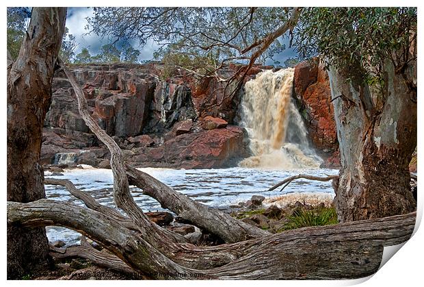 Nigretta Falls Print by Mark Preston