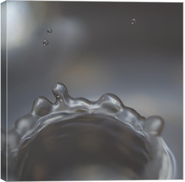 Silver Drip Canvas Print by Jacob Andersen