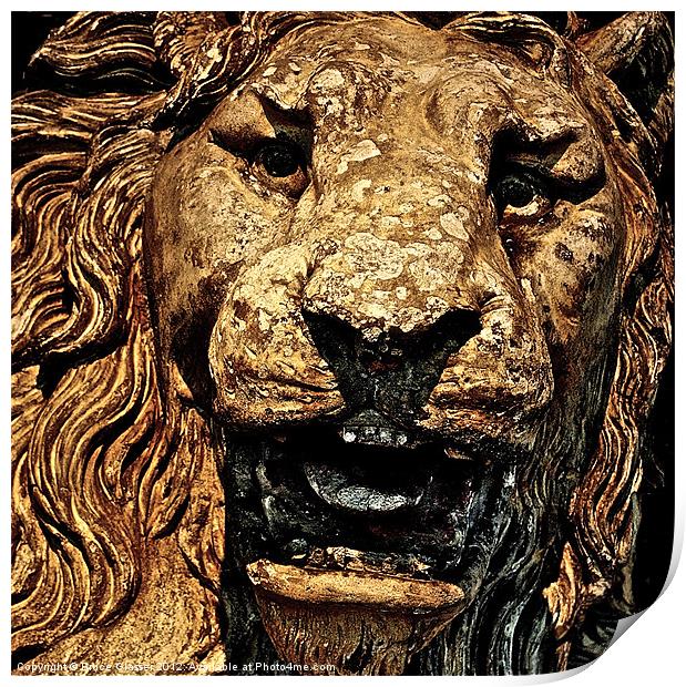 STONE LION Print by Bruce Glasser