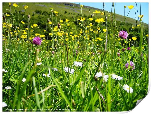 Meadow Flowers, Swaledale Print by Marianne Fuller