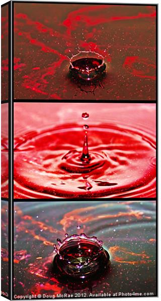Water Triptych Canvas Print by Doug McRae