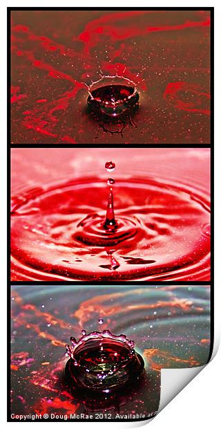 Water Triptych Print by Doug McRae