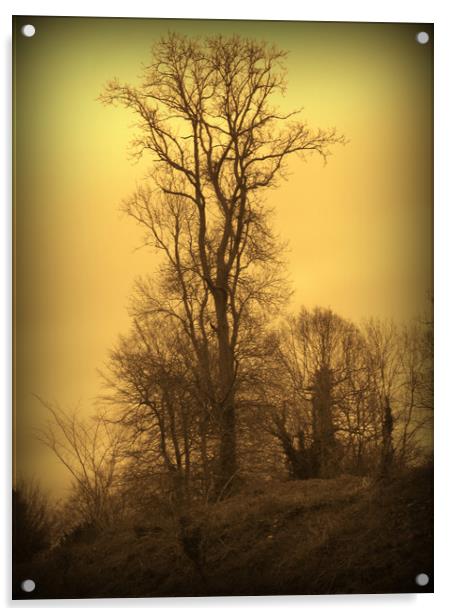 Lone Tree. A Winters Tale. Acrylic by Heather Goodwin