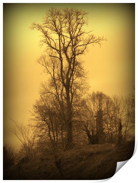 Lone Tree. A Winters Tale. Print by Heather Goodwin