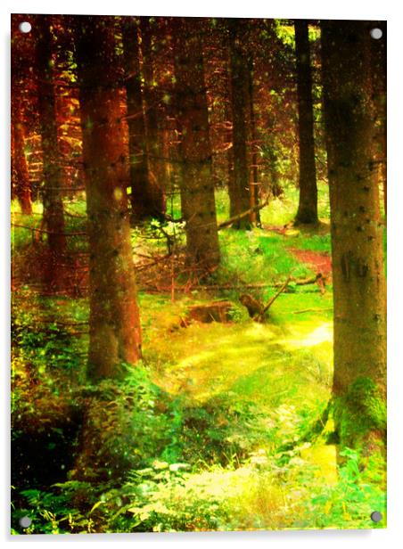 A Walk in the Woods. Acrylic by Heather Goodwin