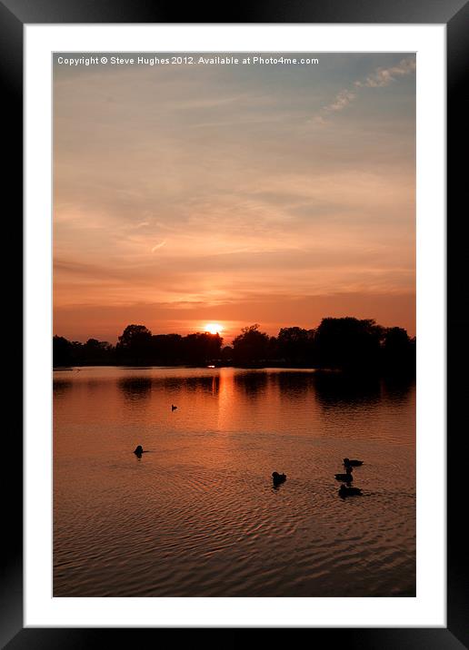 Bushy Park Sunset Framed Mounted Print by Steve Hughes