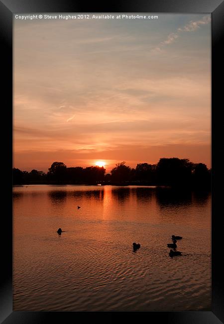 Bushy Park Sunset Framed Print by Steve Hughes