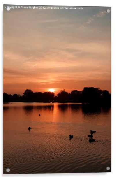 Bushy Park Sunset Acrylic by Steve Hughes