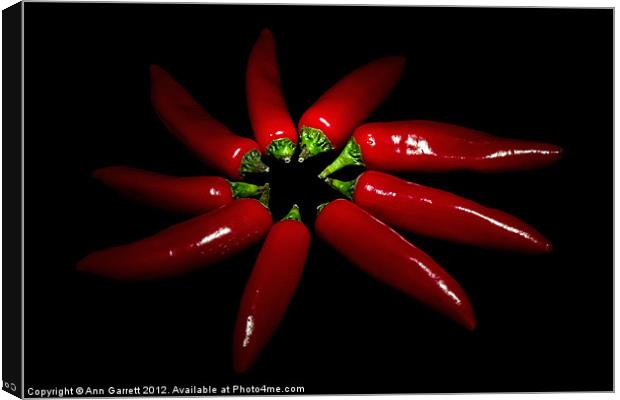 Red Chillie Peppers Canvas Print by Ann Garrett