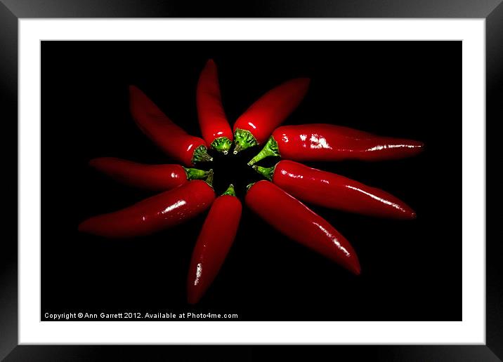 Red Chillie Peppers Framed Mounted Print by Ann Garrett