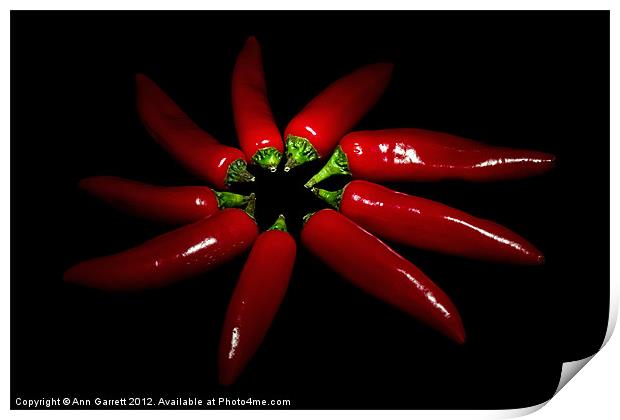 Red Chillie Peppers Print by Ann Garrett