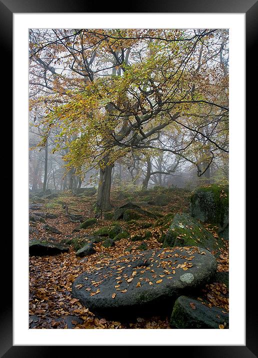 Millstone at Padley Framed Mounted Print by Wayne Molyneux