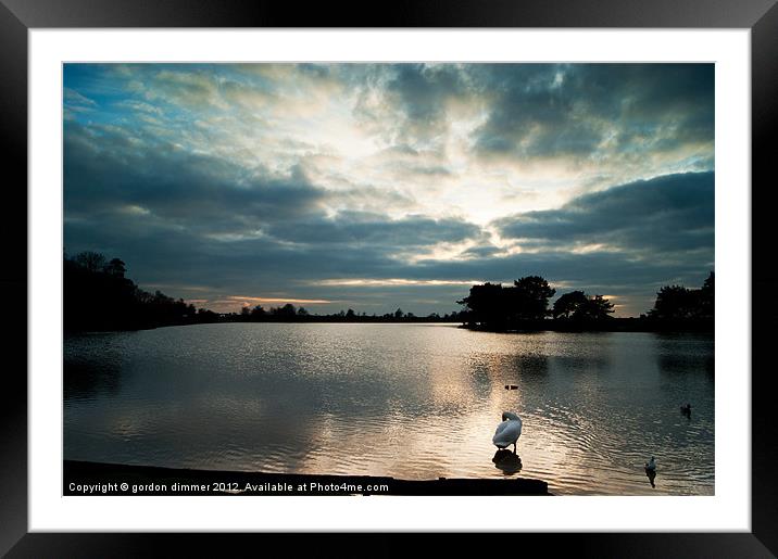 Reflections on Hatchet Pond Hampshire Framed Mounted Print by Gordon Dimmer