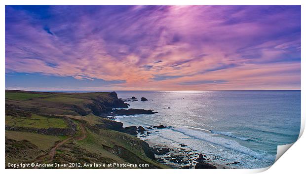 Coastal path Print by Andrew Driver