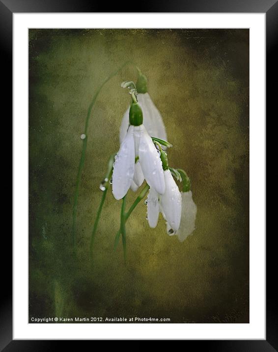 Snowdrops and Raindrops Framed Mounted Print by Karen Martin