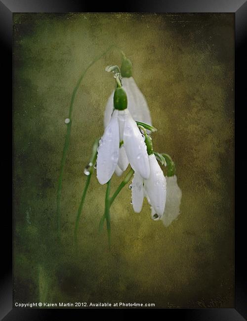 Snowdrops and Raindrops Framed Print by Karen Martin