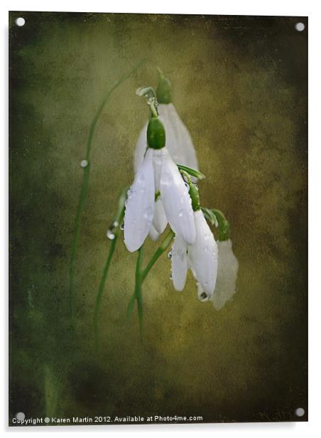 Snowdrops and Raindrops Acrylic by Karen Martin