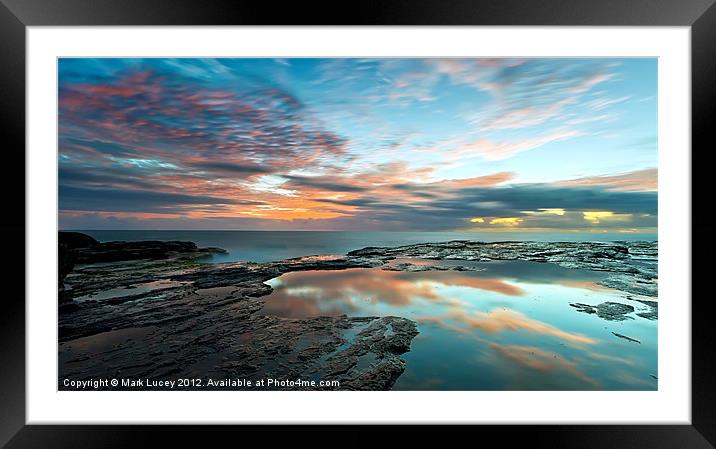 Natures Radiance Framed Mounted Print by Mark Lucey