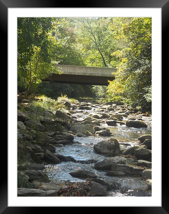 Sunkissed Mountain Stream Framed Mounted Print by Erica Smith