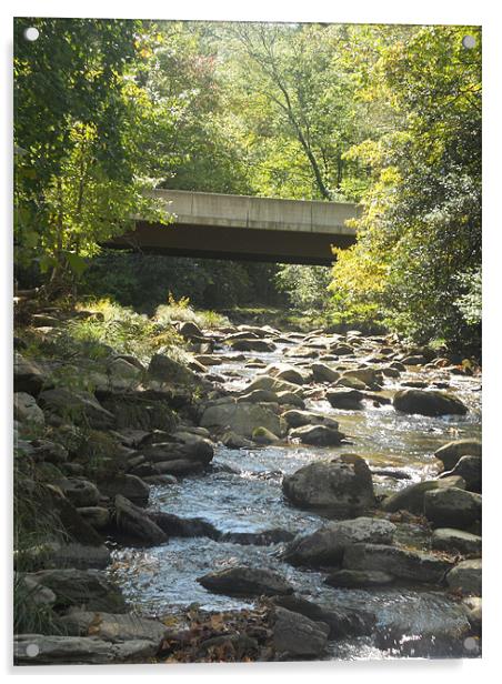 Sunkissed Mountain Stream Acrylic by Erica Smith