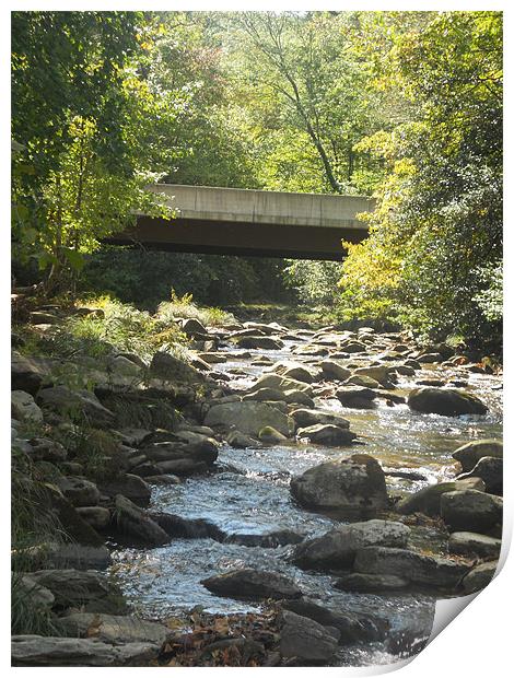 Sunkissed Mountain Stream Print by Erica Smith