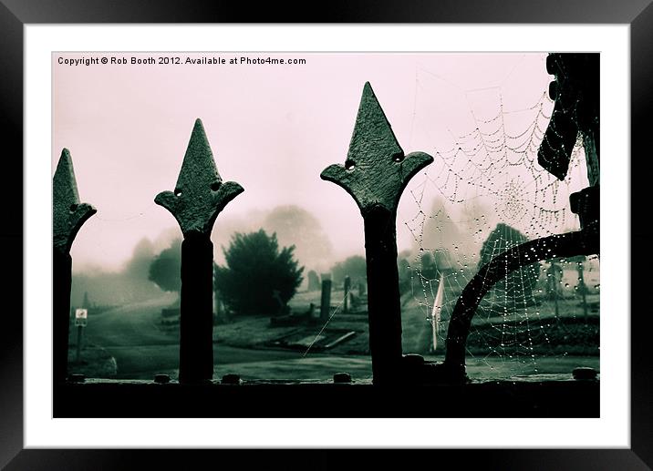 'Gothic Web' Framed Mounted Print by Rob Booth