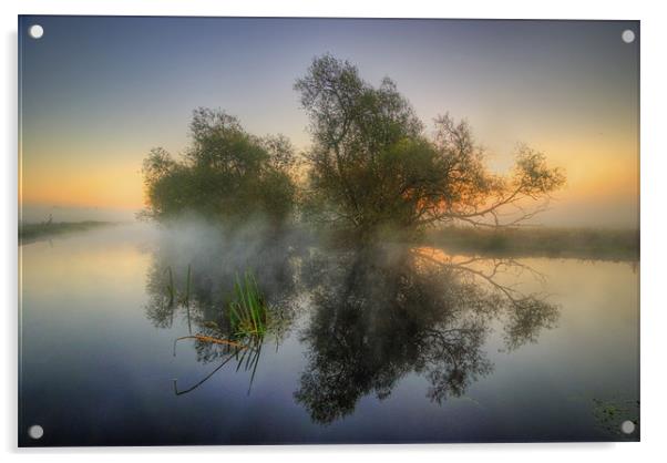 Misty Dawn 2.0 Acrylic by Yhun Suarez