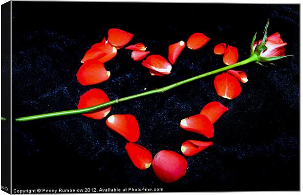 arrow through heart Canvas Print by Elouera Photography