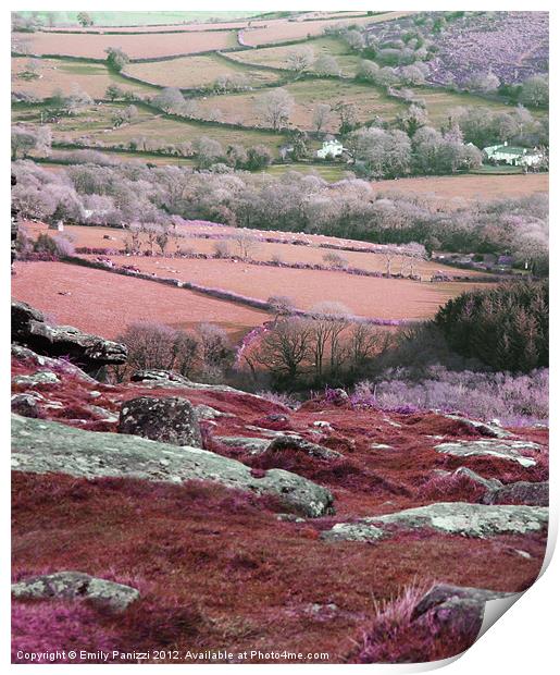 Dartmoor Landscape Print by Emily Panizzi