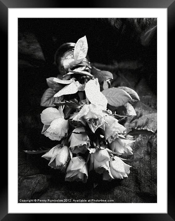 fallen roses Framed Mounted Print by Elouera Photography