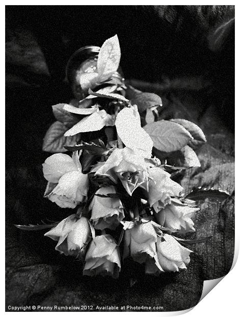 fallen roses Print by Elouera Photography