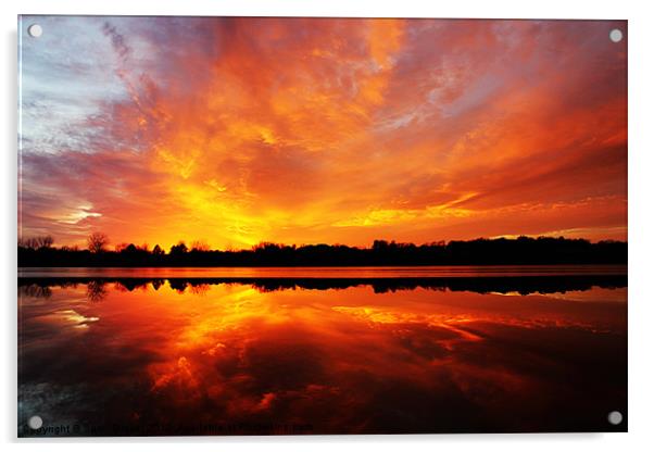 Amazing sunset Acrylic by Sam  Glover
