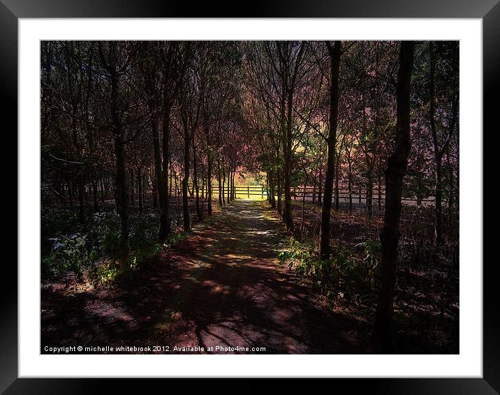 Magical Wood Framed Mounted Print by michelle whitebrook