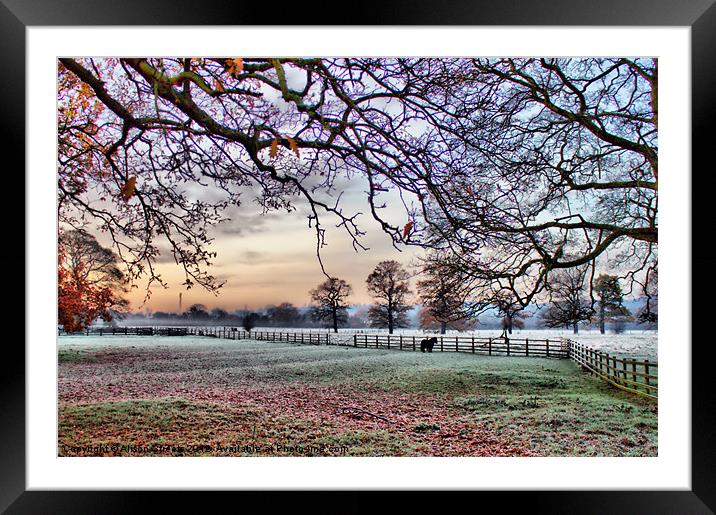 Frosty Morning Framed Mounted Print by Alison Streets