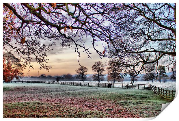 Frosty Morning Print by Alison Streets