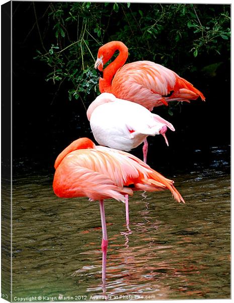 The Three Flamingos Canvas Print by Karen Martin
