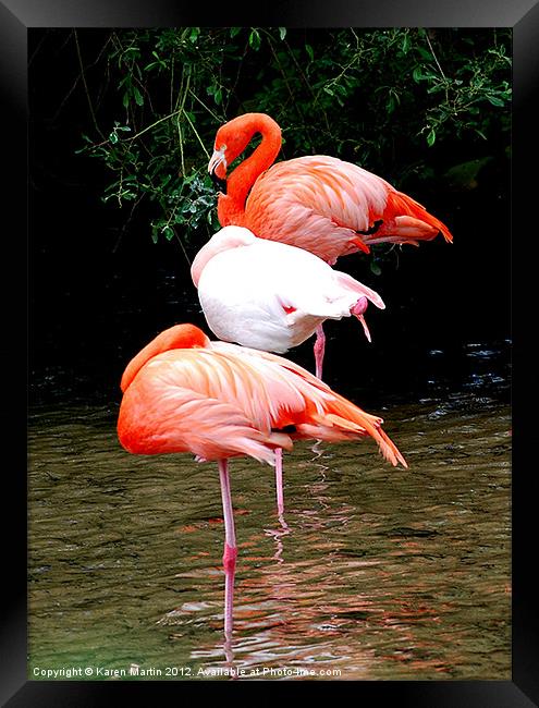 The Three Flamingos Framed Print by Karen Martin
