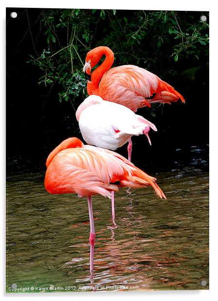 The Three Flamingos Acrylic by Karen Martin