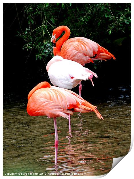 The Three Flamingos Print by Karen Martin