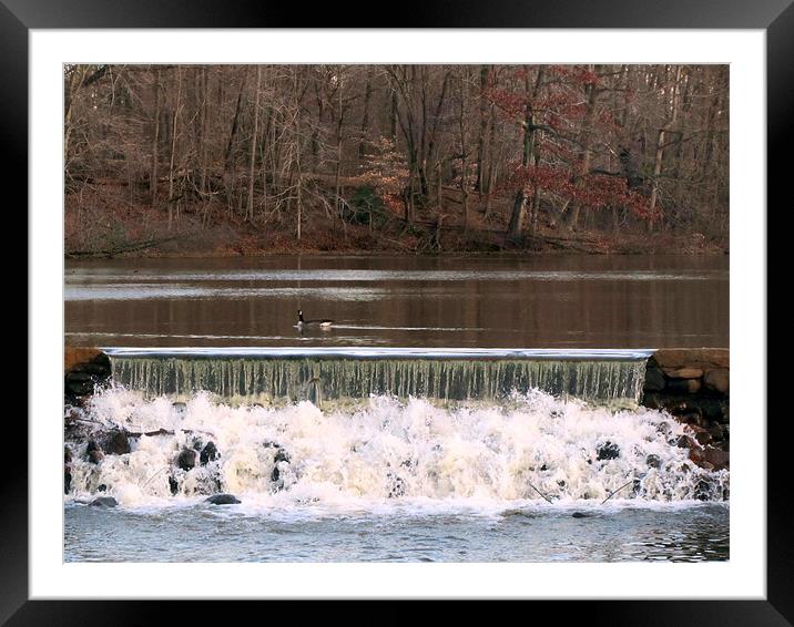 cold waterfall Framed Mounted Print by Bridget M