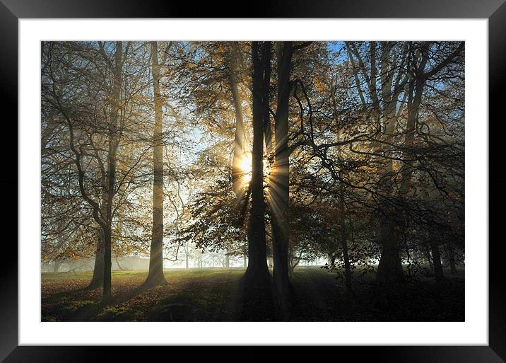 Misty Morning Framed Mounted Print by Simon Deacon
