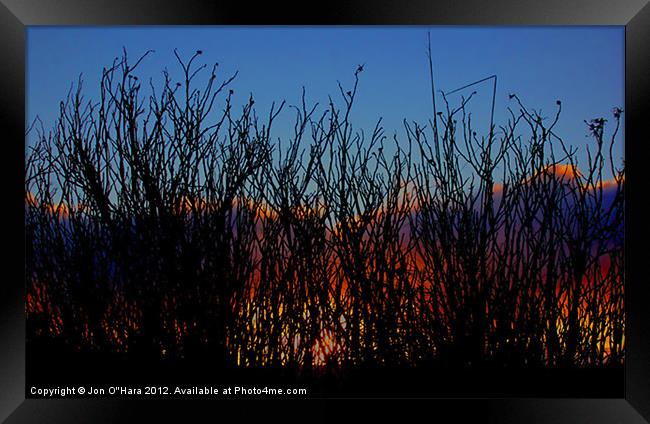 SUNRISE STICK SILHOUETTE Framed Print by Jon O'Hara