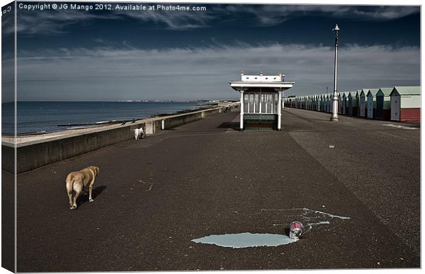 Brighton Dogs Canvas Print by JG Mango