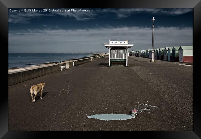 Brighton Dogs Framed Print by JG Mango