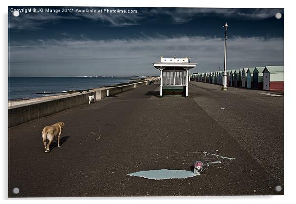 Brighton Dogs Acrylic by JG Mango