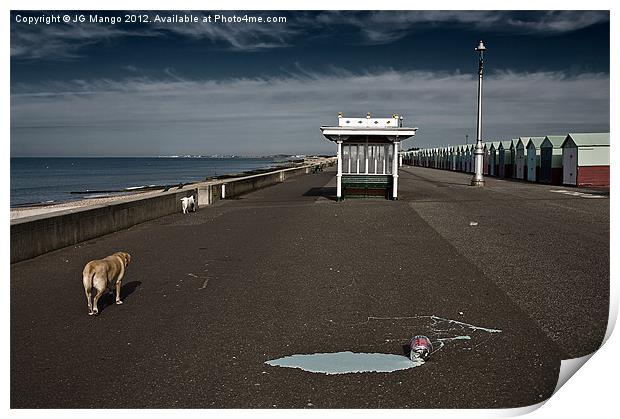 Brighton Dogs Print by JG Mango
